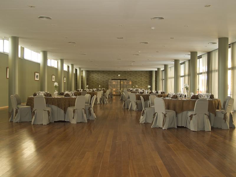 Hotel De Ilhavo Plaza & Spa Ílhavo Exterior foto